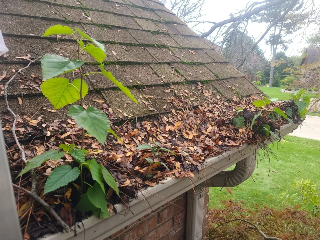 Gutter Cleaning in Lake Orion, MI by Lake State Cleaning