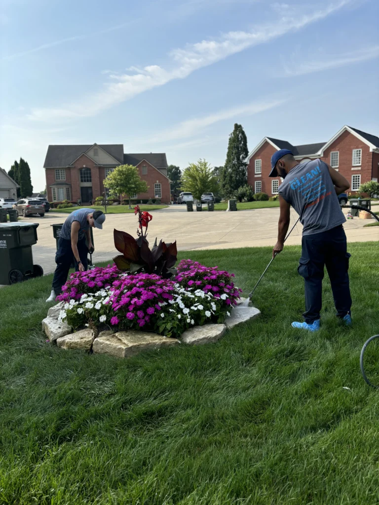 Lake State Cleaning Exterior Cleaning Experts