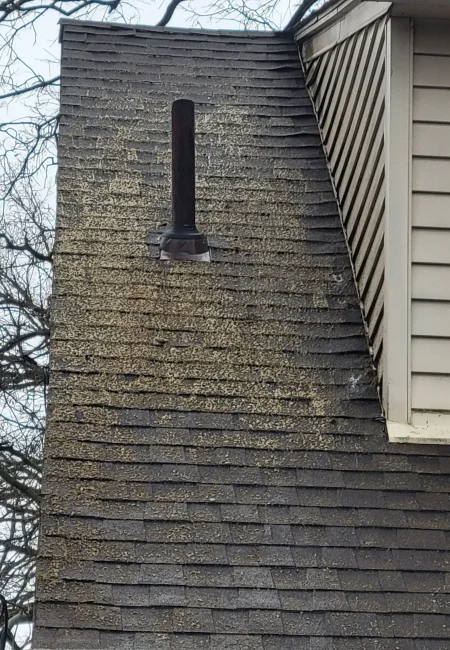 Roof Cleaning by Lake State Cleaning